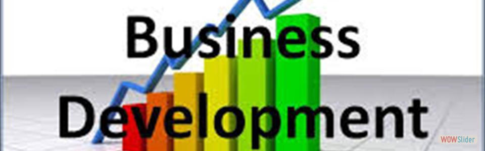 Business Development Services